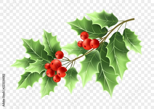 Christmas holly tree branch realistic illustration