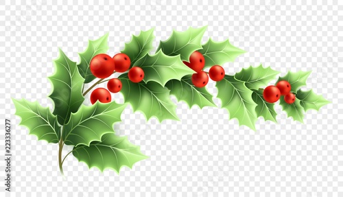 Christmas holly branch realistic illustration photo