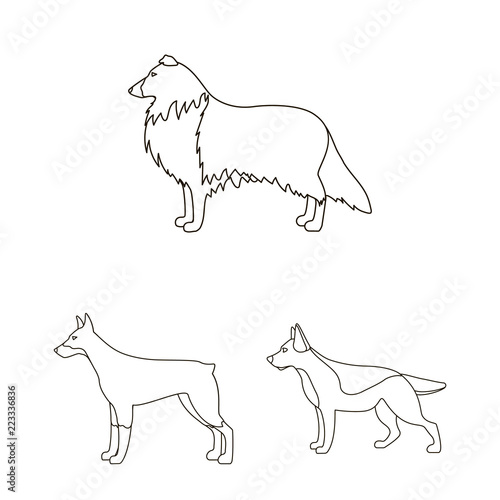 Dog breeds outline icons in set collection for design.Dog pet vector symbol stock web illustration.