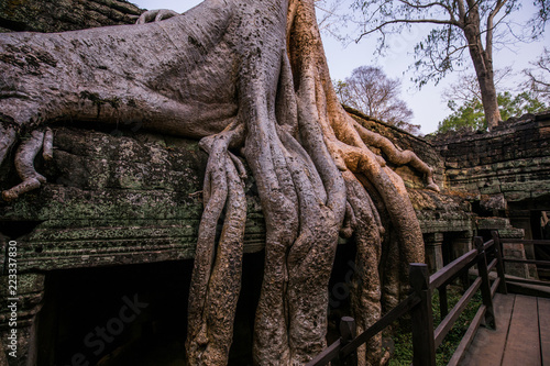 Buddha Temple in the nature of cambodia