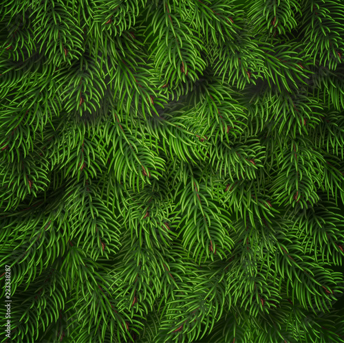 Realistic Christmas tree branches background. Detailed Christmas tree branches background. Green needles on branches. Vector Tree branch background