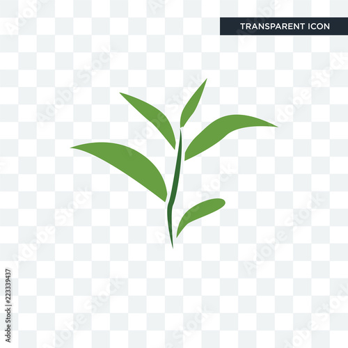 tea leaf vector icon isolated on transparent background, tea leaf logo design