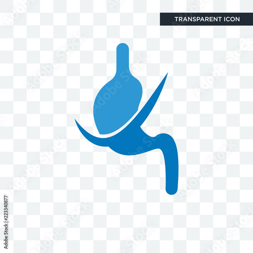 gastroenterology vector icon isolated on transparent background, gastroenterology logo design