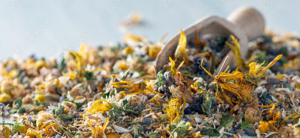 Homeopathy banner or header-dry herbs and blooms and a wooden shovel - obrazy, fototapety, plakaty 