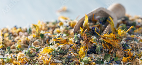 Homeopathy banner or header-dry herbs and blooms and a wooden shovel photo