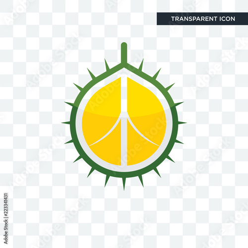 durian vector icon isolated on transparent background, durian logo design