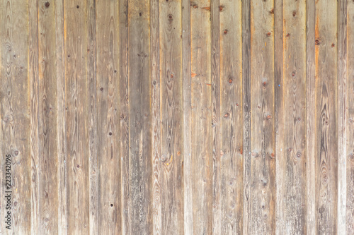 Background texture of wood, natural pattern