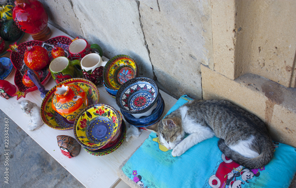baku-june-5-2017-souvenir-shop-with-pottery-and-cat-in-baku