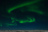 Aurora, Northern lights in the winter in the sky.