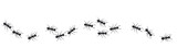 A line of worker ants marching in search of food. Vector banner