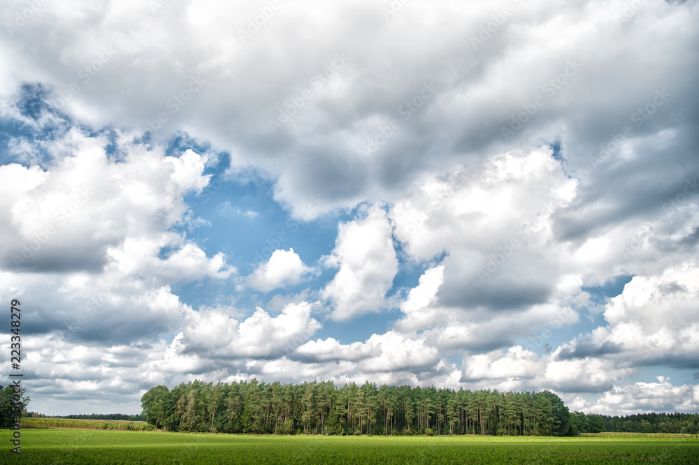 Forest and green field nature landscape on cloudy day. Sky with lot white  clouds above forest trees. Nature and freedom concept. Cloudy weather  forecast. Weather changes signs. Cloudy sky and nature Stock