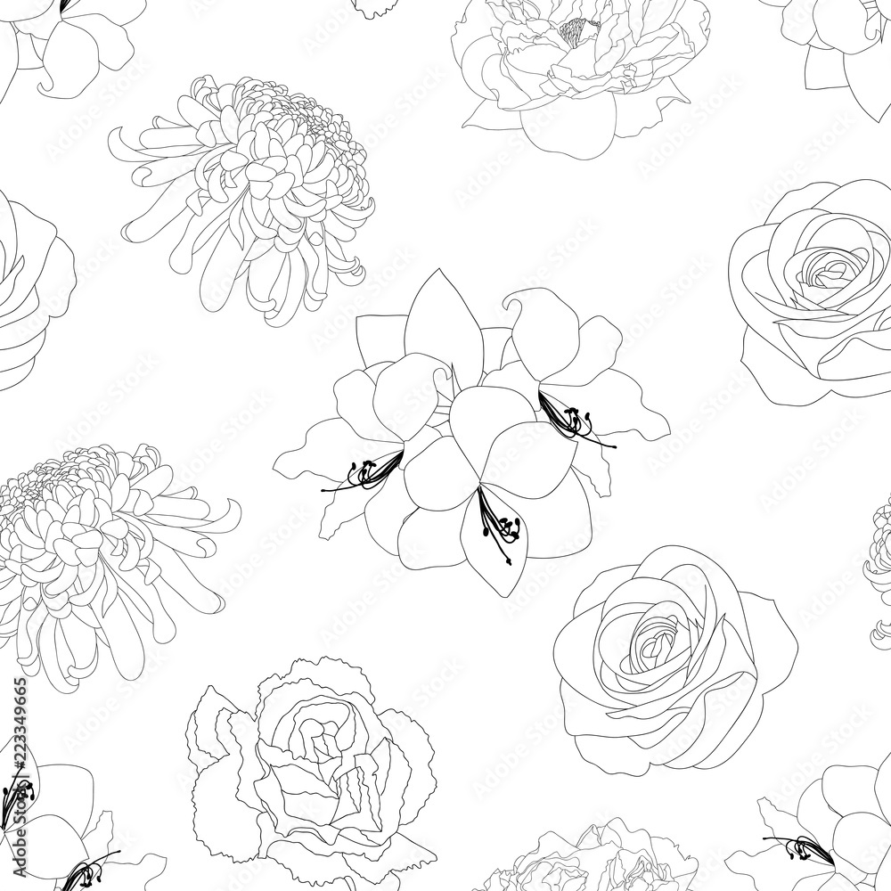 Rose, Chrysanthemum, Carnation, Peony and Amaryllis Flower Background Outline Rose, Chrysanthemum, Carnation, Peony and Amaryllis Flower Background Outline