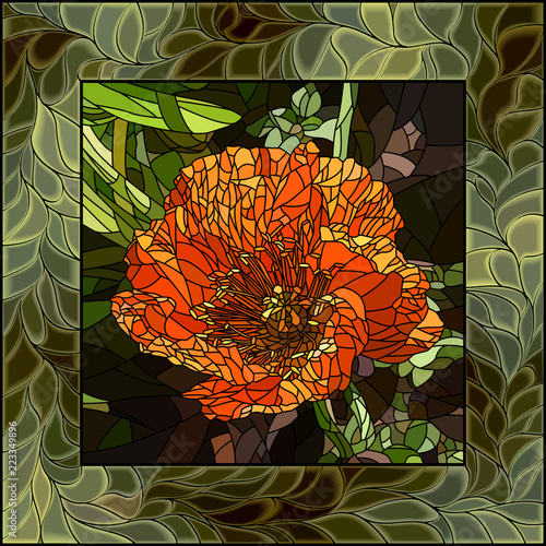 Fototapeta Naklejka Na Ścianę i Meble -  Vector illustration of flower poppy.