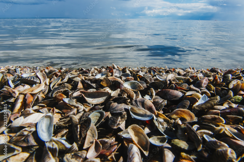 Environment of the baltic Sea. Mountains of garbage on the beach