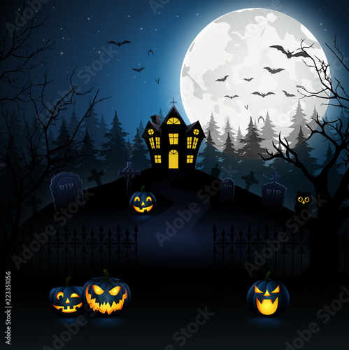Halloween night background with pumpkin,vector illustration