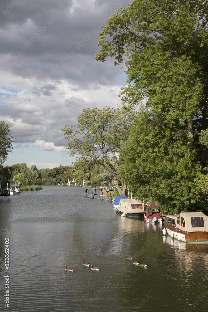 Obraz premium River Thames, Goring, England