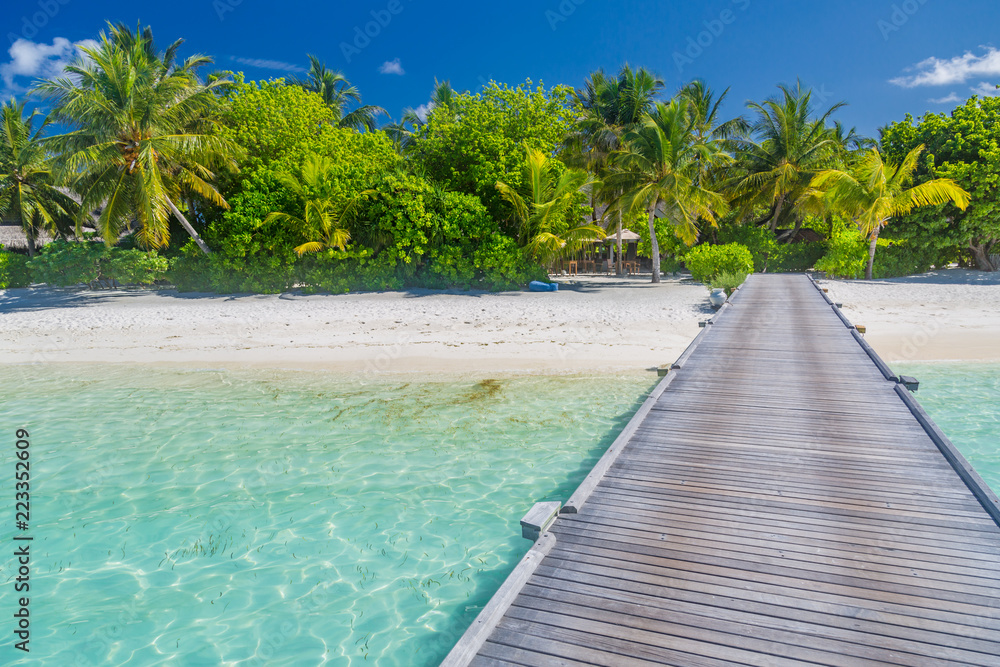 Beautiful beach with wooden jetty and palm trees in Maldives