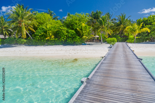 Beautiful beach with wooden jetty and palm trees in Maldives