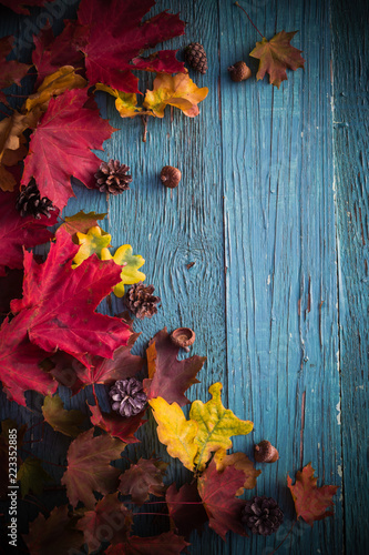 Autumn background gifts leaves nature wood