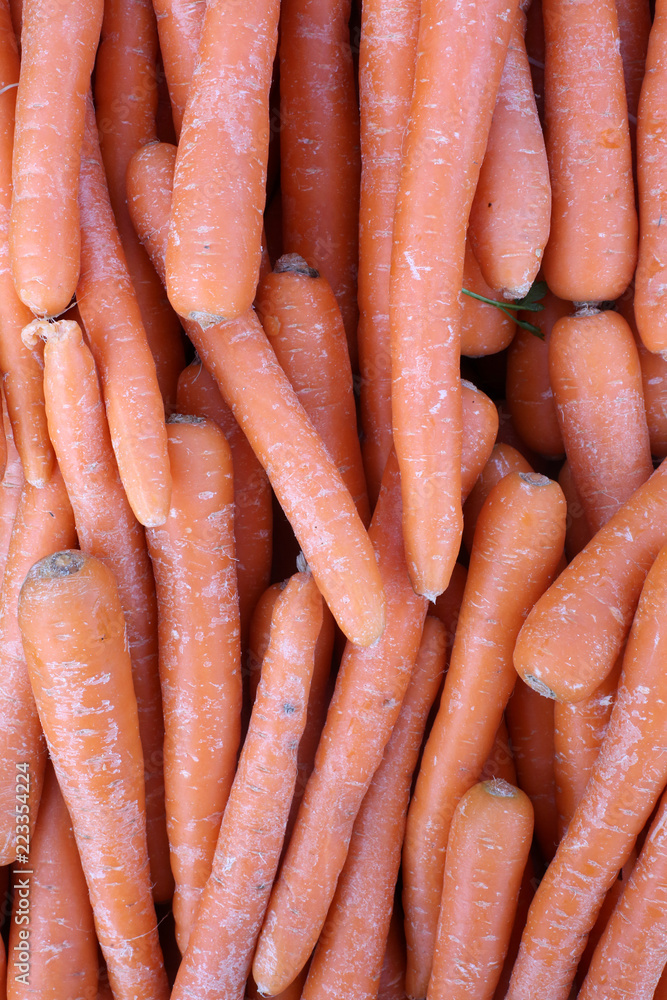 Carottes bio sur un marché. / Organic carrots on a market. Carottes bio sur un marché. / Organic carrots on a market.