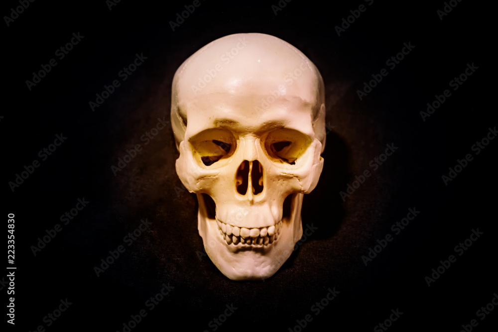 Human skull on isolated dark background Human skull on isolated dark background