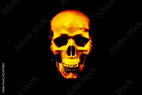 Human skull on isolated dark background