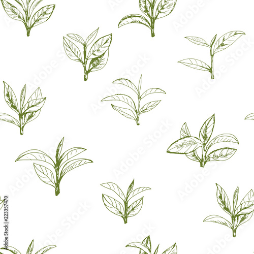 seamless pattern with green tea, hand-drawn leaves and branches of tea