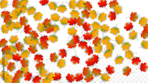 September Vector Background with Golden Falling Leaves. Autumn Illustration with Maple Red, Orange, Yellow Foliage. Isolated Leaf on Transparent Background. Bright Swirl. Suitable for Posters.