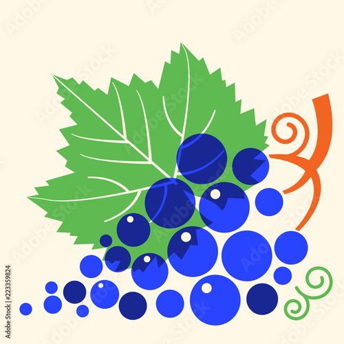 Grapes with leaf .Vector flat style illustration