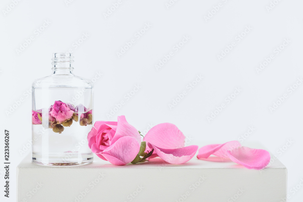 bottle of aromatic essential oil with pink roses on white surface bottle of aromatic essential oil with pink roses on white surface