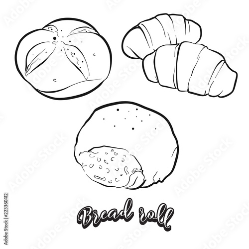 Hand drawn sketch of Bread roll bread