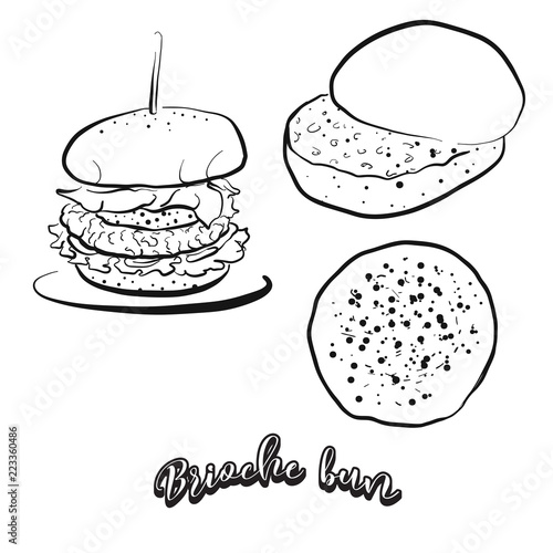Hand drawn sketch of Brioche bun bread