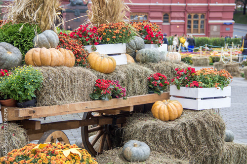 Some pumpkins on hay and ears of wheat in a wooden cart the season of harvest at an autumn festival in Moscow