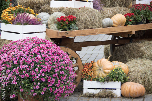 Some pumpkins with hay and flowers on old cart for autumn decoration at market place