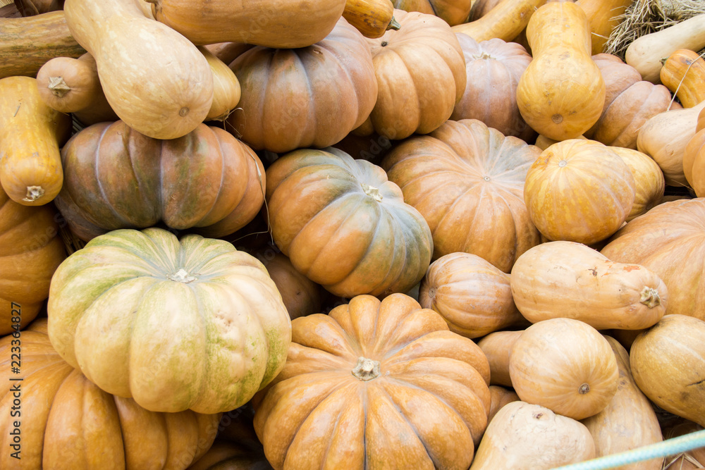 Heap of different pumpkins at marketplace. Autumn outdoor decoration Heap of different pumpkins at marketplace. Autumn outdoor decoration