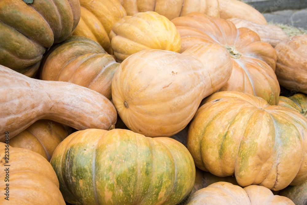Many pumpkins on hay at the farmers market. Thanksgiving Day and harvesting concept Many pumpkins on hay at the farmers market. Thanksgiving Day and harvesting concept