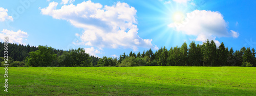 Summer field with green grass and sun. Nature background.
