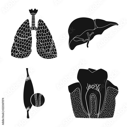 Vector illustration of body and human sign. Collection of body and medical vector icon for stock.