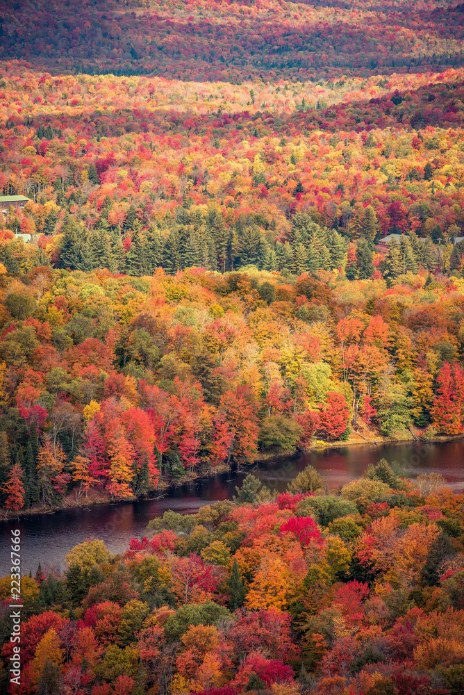 Obraz premium Autumn in Upstate New York