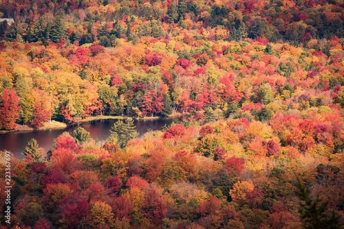 Autumn in Upstate New York