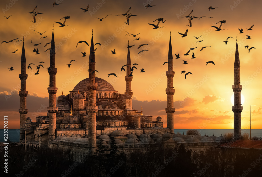 Obraz premium Błękitny Meczet w Stambule podczas zachodu słońca z latającymi mewami