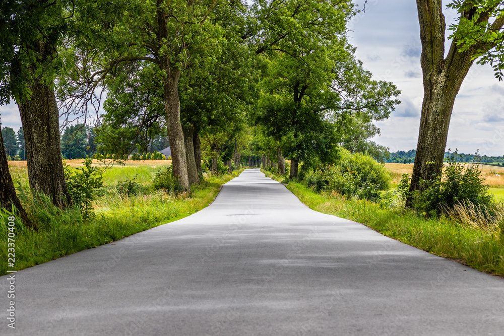 Obraz premium Wiejska droga