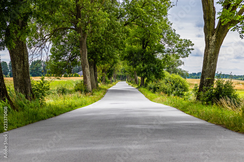 Fototapeta Naklejka Na Ścianę i Meble -  Wiejska droga