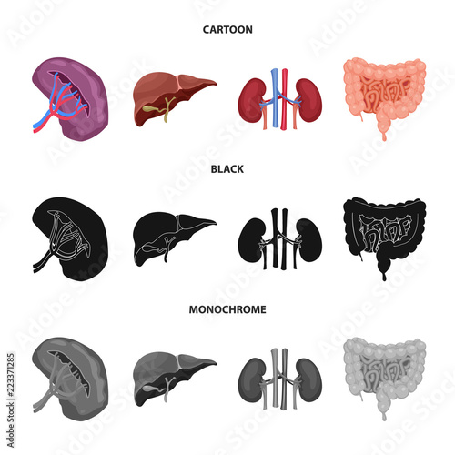 Isolated object of body and human symbol. Set of body and medical stock symbol for web.