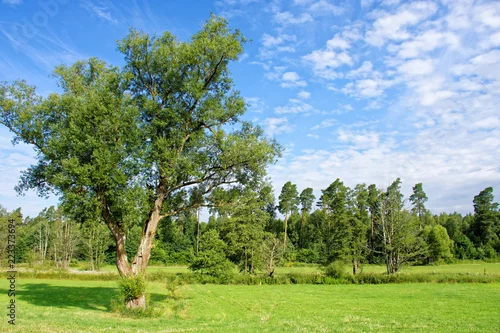 Obraz piękny wiejski krajobraz