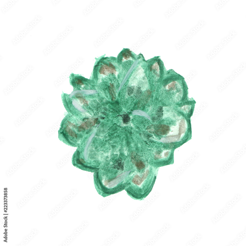 Fototapeta premium flower isolated on white background