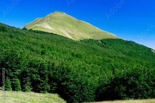 monte cavalbianco foresta faggeta fagus sylvatica parco nazionale appennino tosco emiliano reggio emilia emilia romagna photo