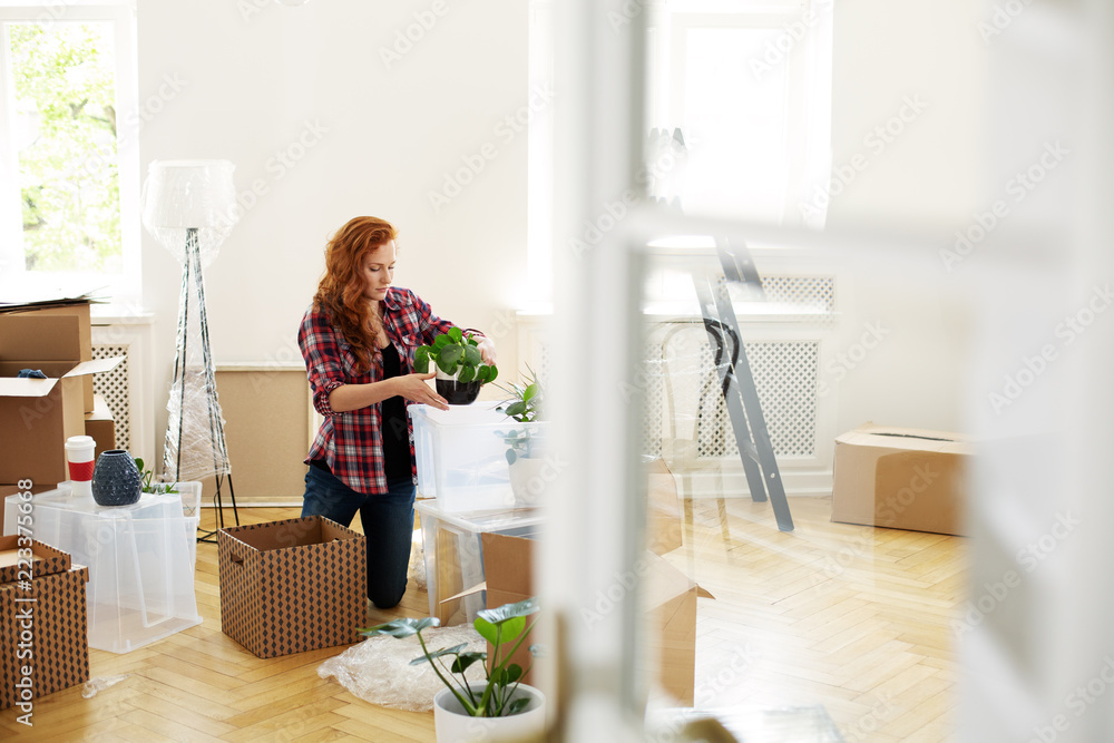 Woman packing plants into boxes during relocation to new house Woman packing plants into boxes during relocation to new house