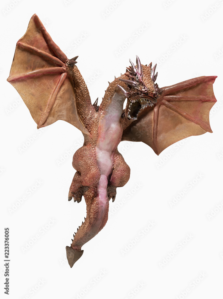 Fototapeta premium Dragon.