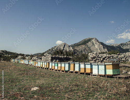 beehives © Filip
